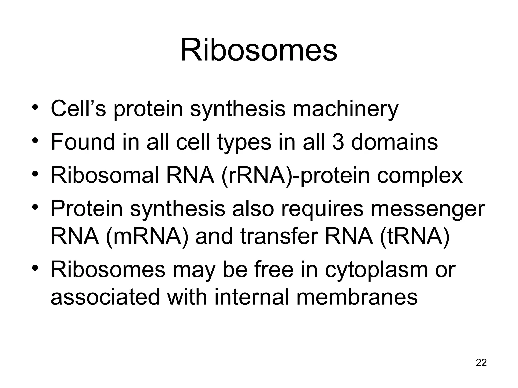 Ribosomes
• Cell’s protein synthesis machinery
• Found in all cell types in all 3 domains
• Ribosomal RNA (rRNA)-protein complex
• Protein synthesis also requires messenger
RNA (mRNA) and transfer RNA (tRNA)
• Ribosomes may be free in cytoplasm or
associated with internal membranes
22
 