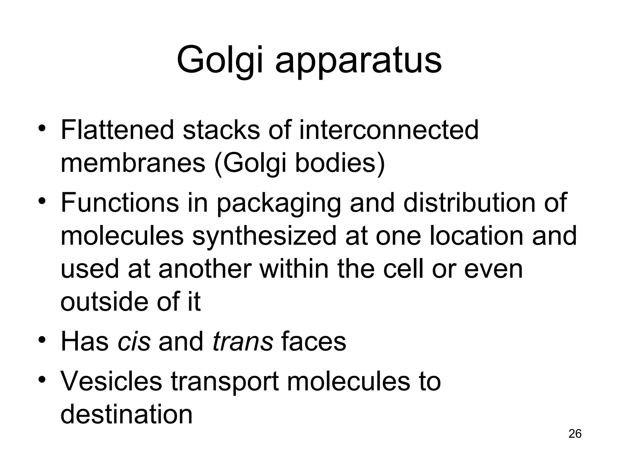 26
Golgi apparatus
• Flattened stacks of interconnected
membranes (Golgi bodies)
• Functions in packaging and distribution of
molecules synthesized at one location and
used at another within the cell or even
outside of it
• Has cis and trans faces
• Vesicles transport molecules to
destination
 