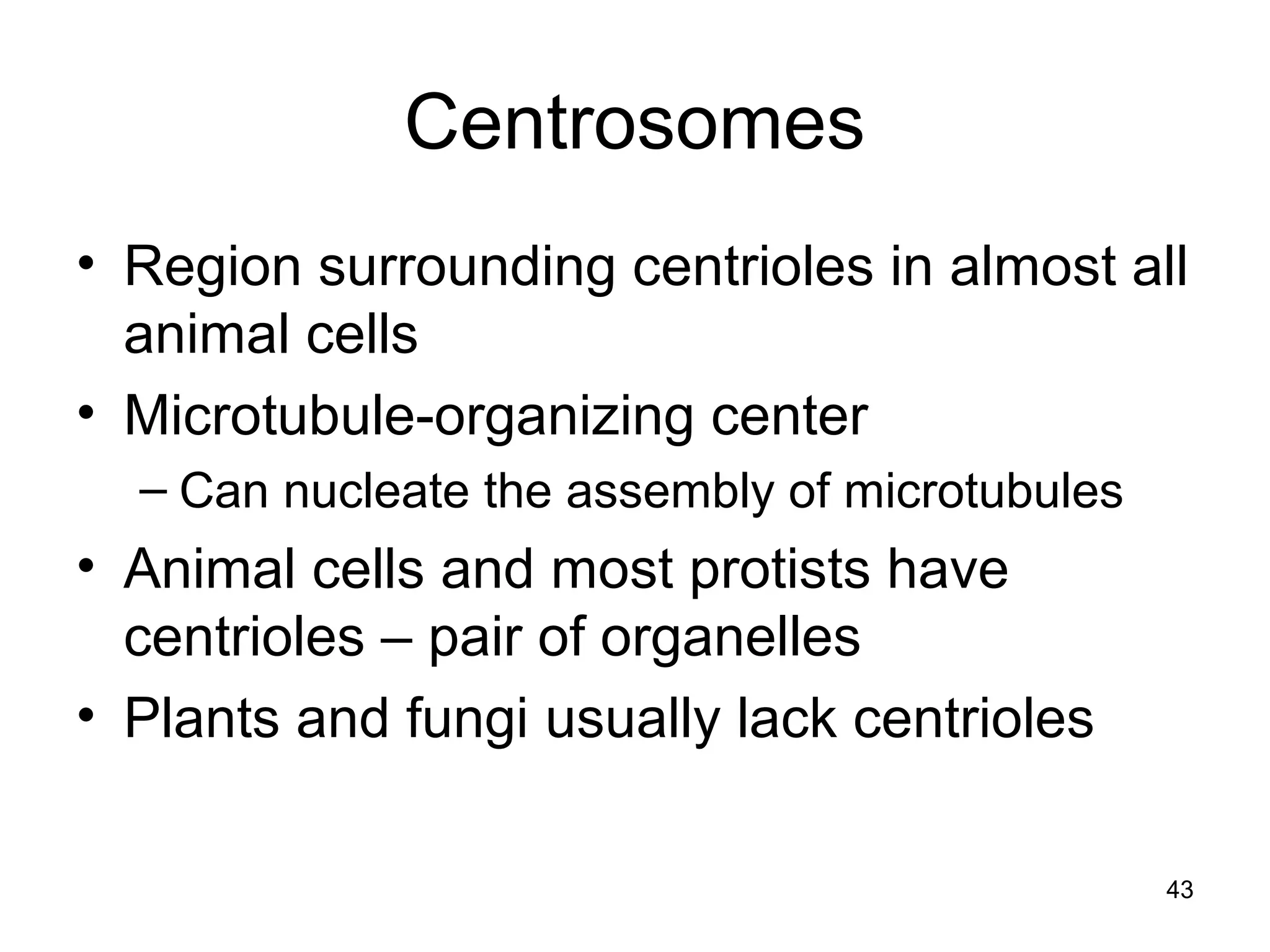 Centrosomes
• Region surrounding centrioles in almost all
animal cells
• Microtubule-organizing center
– Can nucleate the assembly of microtubules
• Animal cells and most protists have
centrioles – pair of organelles
• Plants and fungi usually lack centrioles
43
 