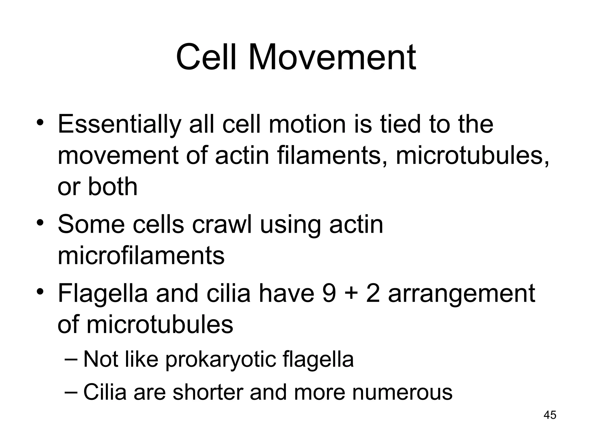 45
Cell Movement
• Essentially all cell motion is tied to the
movement of actin filaments, microtubules,
or both
• Some cells crawl using actin
microfilaments
• Flagella and cilia have 9 + 2 arrangement
of microtubules
– Not like prokaryotic flagella
– Cilia are shorter and more numerous
 