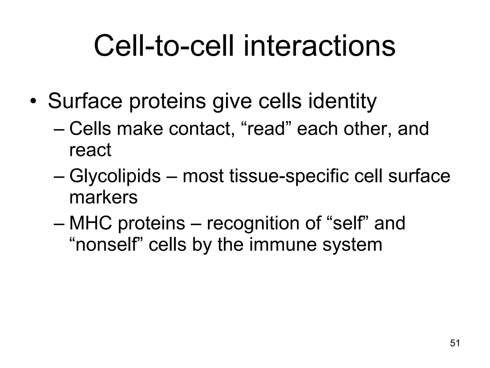Cell-to-cell interactions
• Surface proteins give cells identity
– Cells make contact, “read” each other, and
react
– Glycolipids – most tissue-specific cell surface
markers
– MHC proteins – recognition of “self” and
“nonself” cells by the immune system
51
 