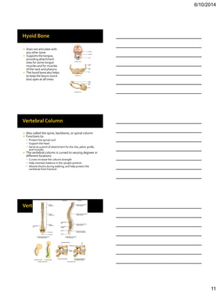 Bio 201 chapter 7 lecture | PDF