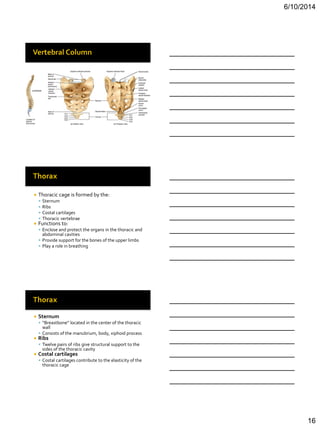Bio 201 chapter 7 lecture | PDF