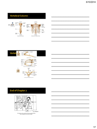 Bio 201 chapter 7 lecture | PDF