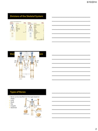 Bio 201 chapter 7 lecture | PDF