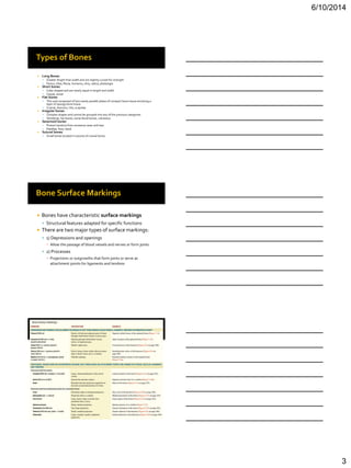 Bio 201 chapter 7 lecture | PDF