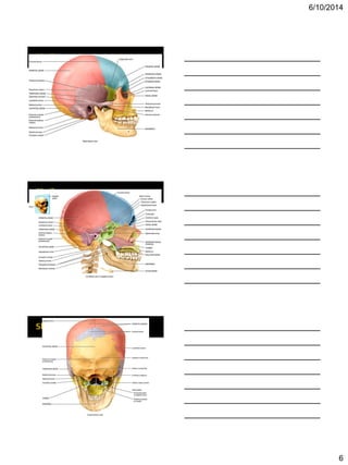 Bio 201 chapter 7 lecture | PDF