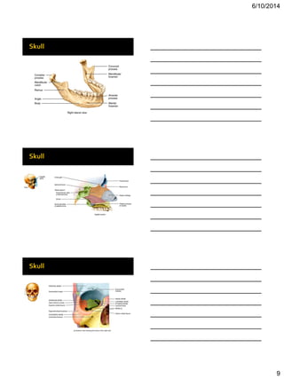 Bio 201 chapter 7 lecture | PDF