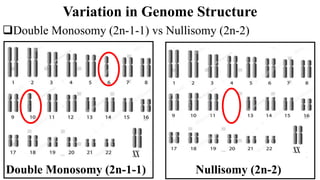 BIO 201 Genetics - Lectures 1-3.pptx