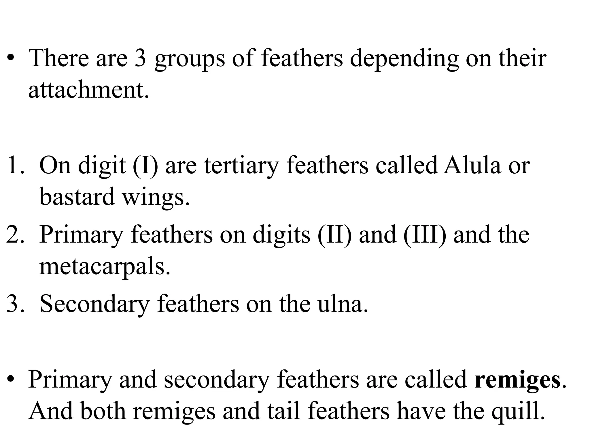 BIOLOGY VERTEBRATE Lesson 4 CLASS AVES.pptx | Birds | Pets
