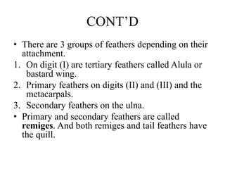 VERTEBRATES COMPLETE LECTURE NOTES.pptxs | PPTX