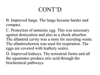 Allanoid VERTEBRATES COMPLETE LECTUR E NOTES.pptx