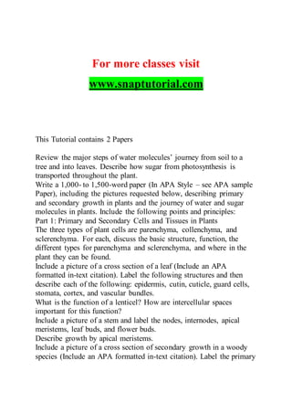 For more classes visit
www.snaptutorial.com
This Tutorial contains 2 Papers
Review the major steps of water molecules’ journey from soil to a
tree and into leaves. Describe how sugar from photosynthesis is
transported throughout the plant.
Write a 1,000- to 1,500-word paper (In APA Style – see APA sample
Paper), including the pictures requested below, describing primary
and secondary growth in plants and the journey of water and sugar
molecules in plants. Include the following points and principles:
Part 1: Primary and Secondary Cells and Tissues in Plants
The three types of plant cells are parenchyma, collenchyma, and
sclerenchyma. For each, discuss the basic structure, function, the
different types for parenchyma and sclerenchyma, and where in the
plant they can be found.
Include a picture of a cross section of a leaf (Include an APA
formatted in-text citation). Label the following structures and then
describe each of the following: epidermis, cutin, cuticle, guard cells,
stomata, cortex, and vascular bundles.
What is the function of a lenticel? How are intercellular spaces
important for this function?
Include a picture of a stem and label the nodes, internodes, apical
meristems, leaf buds, and flower buds.
Describe growth by apical meristems.
Include a picture of a cross section of secondary growth in a woody
species (Include an APA formatted in-text citation). Label the primary
 
