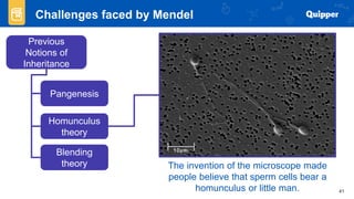 Gen Bio 2 - Mendelian Laws of Inheritance | PPTX