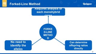 Lesson 2 Gen Bio Mendelian Laws of Inheretance | PPTX
