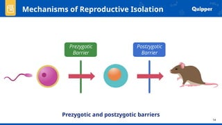 Reproductive Isolation Types GENERAL BIOLOGY Reproductive mechanisms of speciation | PPTX