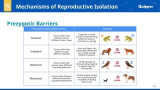 Reproductive Isolation Types GENERAL BIOLOGY Reproductive mechanisms of speciation | PPTX