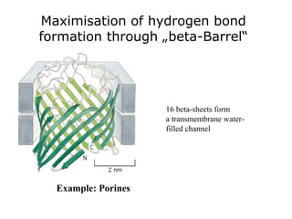 Maximisation of hydrogen bond
formation through „beta-Barrel“
Example: Porines
16 beta-sheets form
a transmembrane water-
filled channel
 