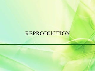 REPRODUCTION
 
