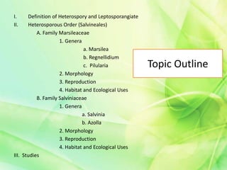 Topic Outline
I. Definition of Heterospory and Leptosporangiate
II. Heterosporous Order (Salvineales)
A. Family Marsileaceae
1. Genera
a. Marsilea
b. Regnellidium
c. Pilularia
2. Morphology
3. Reproduction
4. Habitat and Ecological Uses
B. Family Salviniaceae
1. Genera
a. Salvinia
b. Azolla
2. Morphology
3. Reproduction
4. Habitat and Ecological Uses
III. Studies
 