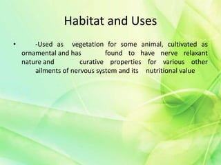 Habitat and Uses
• -Used as vegetation for some animal, cultivated as
ornamental and has found to have nerve relaxant
nature and curative properties for various other
ailments of nervous system and its nutritional value
 