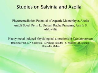 Studies on Salvinia and Azolla
Phytoremediation Potential of Aquatic Macrophyte, Azolla
Anjuli Sood, Perm L. Uniyal, Radha Prasanna, Amrik S.
Ahluwalia
Heavy metal induced physiological alterations in Salvinia natans
Bhupinder Dhir, P. Sharmila , P. Pardha Saradhi , S. Sharma , R. Kumar ,
Devinder Mehta
 