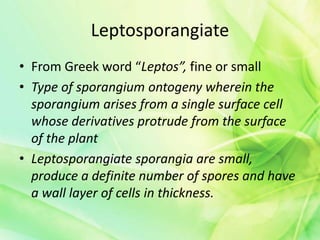 Leptosporangiate
• From Greek word “Leptos”, fine or small
• Type of sporangium ontogeny wherein the
sporangium arises from a single surface cell
whose derivatives protrude from the surface
of the plant
• Leptosporangiate sporangia are small,
produce a definite number of spores and have
a wall layer of cells in thickness.
 