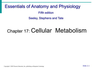 Essentials of Anatomy and Physiology
Fifth edition
Seeley, Stephens and Tate
Slide 2.1
Copyright © 2003 Pearson Education, Inc. publishing as Benjamin Cummings
Chapter 17: Cellular Metabolism
 