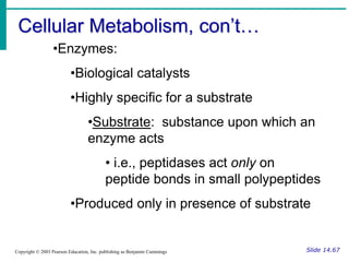 Cellular Metabolism, con’t…
Slide 14.67
Copyright © 2003 Pearson Education, Inc. publishing as Benjamin Cummings
•Enzymes:
•Biological catalysts
•Highly specific for a substrate
•Substrate: substance upon which an
enzyme acts
• i.e., peptidases act only on
peptide bonds in small polypeptides
•Produced only in presence of substrate
 