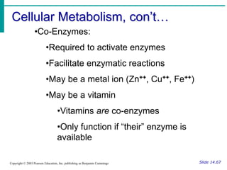 Cellular Metabolism, con’t…
Slide 14.67
Copyright © 2003 Pearson Education, Inc. publishing as Benjamin Cummings
•Co-Enzymes:
•Required to activate enzymes
•Facilitate enzymatic reactions
•May be a metal ion (Zn++, Cu++, Fe++)
•May be a vitamin
•Vitamins are co-enzymes
•Only function if “their” enzyme is
available
 