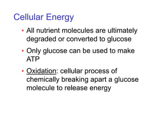 Cellular Energy
• All nutrient molecules are ultimately
degraded or converted to glucose
• Only glucose can be used to make
ATP
• Oxidation: cellular process of
chemically breaking apart a glucose
molecule to release energy
 