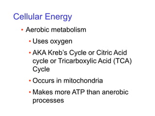 Cellular Energy
• Aerobic metabolism
• Uses oxygen
• AKA Kreb’s Cycle or Citric Acid
cycle or Tricarboxylic Acid (TCA)
Cycle
• Occurs in mitochondria
• Makes more ATP than anerobic
processes
 