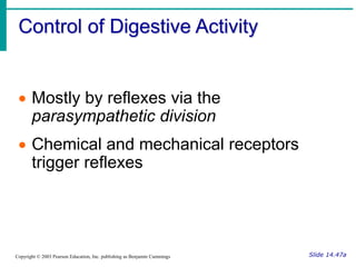 Control of Digestive Activity
Slide 14.47a
Copyright © 2003 Pearson Education, Inc. publishing as Benjamin Cummings
 Mostly by reflexes via the
parasympathetic division
 Chemical and mechanical receptors
trigger reflexes
 
