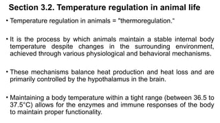 Heat Control In Animal BIO 2246_Animal Physiology_Unit 3-Homeostasis.pptx