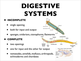 DIGESTIVE
                   SYSTEMS
•   INCOMPLETE

    •   single opening

    •   both for input and output

    •   sponges, cnidarians, ctenophores, ﬂatworms

•   COMPLETE

    •   two openings

    •   one for input and the other for output

    •   nematodes, annelids, molluscs, arthropods,
        echinoderms and chordates
 