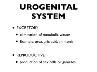 UROGENITAL
      SYSTEM
• EXCRETORY
 • elimination of metabolic wastes
 • Example: urea, uric acid, ammonia

• REPRODUCTIVE
 • production of sex cells or gametes
 