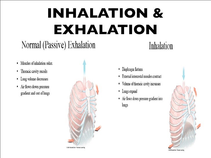 Output Exhale