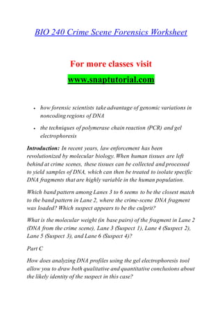 BIO 240 Crime Scene Forensics Worksheet
For more classes visit
www.snaptutorial.com
 how forensic scientists take advantage of genomic variations in
noncoding regions of DNA
 the techniques of polymerase chain reaction (PCR) and gel
electrophoresis
Introduction: In recent years, law enforcement has been
revolutionized by molecular biology. When human tissues are left
behind at crime scenes, these tissues can be collected and processed
to yield samples of DNA, which can then be treated to isolate specific
DNA fragments that are highly variable in the human population.
Which band pattern among Lanes 3 to 6 seems to be the closest match
to the band pattern in Lane 2, where the crime-scene DNA fragment
was loaded? Which suspect appears to be the culprit?
What is the molecular weight (in base pairs) of the fragment in Lane 2
(DNA from the crime scene), Lane 3 (Suspect 1), Lane 4 (Suspect 2),
Lane 5 (Suspect 3), and Lane 6 (Suspect 4)?
Part C
How does analyzing DNA profiles using the gel electrophoresis tool
allow you to draw both qualitative and quantitative conclusions about
the likely identity of the suspect in this case?
 