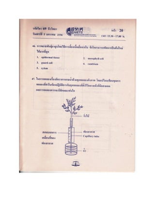 ข้อสอบ 7 วิชา Bio2556
