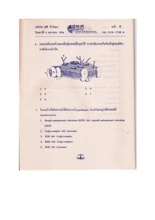ข้อสอบ 7 วิชา Bio2556