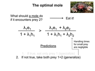 What should a mole do
if it encounters prey 2? Eat it!
λ1e1
1 + λ1h1
>
λ1e1 + λ2e2
1 + λ1h1 + λ2h2
Predictions
1. If true, eat only prey 1 (specialize)
2. If not true, take both prey 1+2 (generalize)
Handling times
for small prey
are negligible
The optimal mole
 
