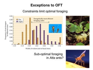 parasitoid wasp
Sub-optimal foraging
in Atta ants?
Constraints limit optimal foraging
Exceptions to OFT
 