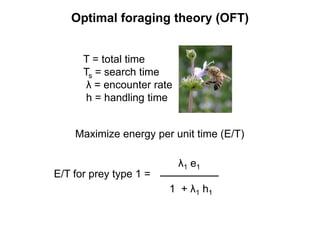 Optimal foraging theory (OFT)
E/T for prey type 1 =
λ1 e1
1 + λ1 h1
Maximize energy per unit time (E/T)
T = total time
Ts = search time
λ = encounter rate
h = handling time
 