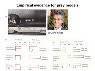 Sir John Krebs
Empirical evidence for prey models
great tit
 
