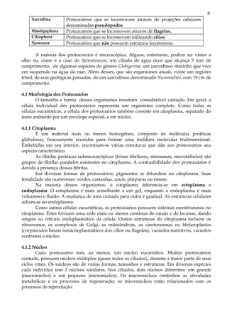 8
    Sarcodina         Protozoários que se locomovem através de projeções celulares
                      denominadas pseudópodos
    Mastigophora      Protozoários que se locomovem através de flagelos.
    Ciliophora        Protozoários que se locomovem utilizando cílios
    Sporozoa          Protozoários que não possuem estrutura locomotora.

        A maioria dos protozoários é microscópica. Alguns, entretanto, podem ser vistos a
olho nu, como é o caso do Spirostomum, um ciliado de água doce que alcança 3 mm de
comprimento, de algumas espécies do gênero Globigerina, um sarcodíneo marinho que vive
em suspensão na água do mar. Além desses, que são organismos atuais, existe um registro
fóssil, de eras geológicas passadas, de um sarcodíneo denominado Nummulites, com 19 cm de
comprimento.

4.1 Morfologia dos Protozoários
       O tamanho e forma desses organismos mostram considerável variação. Em geral, a
célula individual dos protozoários representa um organismo completo. Como todas as
células eucarióticas, a célula dos protozoários também consiste em citoplasma, separado do
meio ambiente por um envelope especial, e em núcleo.

4.1.1 Citoplasma
       É um material mais ou menos homogêneo, composto de moléculas protéicas
globulosas, frouxamente reunidas para formar uma moldura molecular tridimensional.
Embebidas em seu interior, encontram-se várias estruturas que dão aos protozoários seu
aspecto característico.
       As fibrilas protéicas submicroscópicas (feixes fibrilares, mionemas, microtúbulos) são
grupos de fibrilas paralelos existentes no citoplasma. A contratibilidade dos protozoários é
devida a presença dessas fibrilas.
       Em diversas formas de protozoários, pigmentos se difundem no citoplasma. Suas
tonalidade são numerosas: verdes, castanhas, azuis, púrpuras ou róseas.
       Na maioria desses organismos, o citoplasma diferencia-se em ectoplasma e
endoplasma. O ectoplasma é mais semelhante a um gel, enquanto o endoplasma é mais
volumoso e fluído. A mudança de uma camada para outra é gradual. As estruturas celulares
acham-se no endoplasma.
       Como outras células eucarióticas, os protozoários possuem sistemas membranosos no
citoplasma. Estes formam uma rede mais ou menos contínua de canais e de lacunas, dando
origem ao retículo endoplasmático da célula. Outras estruturas do citoplasma incluem os
ribossomos, os complexos de Golgi, as mitocôndrias, os cinetossomas ou blefaroplastos
(corpúsculos basais intracitoplasmáticos dos cílios ou flagelos), vacúolos nutritivos, vacúolos
contráteis e núcleo.

4.1.2 Núcleo
       Cada protozoário tem, ao menos, um núcleo eucariótico. Muitos protozoários
contudo, possuem núcleos múltiplos (quase todos os ciliados), durante a maior parte de seus
ciclos vitais. Os núcleos são de várias formas, tamanhos e estruturas. Em diversas espécies
cada indivíduo tem 2 núcleos similares. Nos ciliados, dois núcleos diferentes: um grande
(macronúcleo) e um pequeno (micronúcleo). Os macronúcleos controlam as atividades
metabólicas e os processos de regeneração; os micronúcleos estão relacionados com os
processos de reprodução.
 
