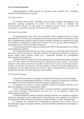 33
1.6 As Classes de Esponjas

      Aproximadamente 10.000 espécies de esponjas foram descritas até o momento,
estando estas distribuídas em 4 classes :

1.6.1 Classe Calcarea

       Os membros dessa classe, conhecidos como esponjas calcáreas, distinguem-se por
possuírem espículas compostas de CaCO3. Nas outras classes as espículas são
invariavelmente silicosas. Os três graus de estruturas (Ascon, Sycon e Leucon) são
encontrados. A maioria das espécies tem menos de 10 cm de altura.

1.6.2 Classe Hexactinellida

       Os representantes dessa classe são conhecidos como esponjas-de-vidro. O nome
Hexactinellida vem do fato que as espículas são do tipo com seis pontas ou hexáctinas. Além
disso, freqüentemente algumas espículas estão fundidas formando um esqueleto que pode
ser reticulado, constituído por longas fibras silicosas. Por isso elas são então chamadas de
esponjas-de-vidro. A forma siconóide é dominante.
       Vivem principalmente em águas profundas (450 a 900 m de profundidade em média),
sendo totalmente marinhas.
       Há um átrio bem desenvolvido e um único ósculo que às vezes pode estar coberto por
uma placa crivada formada por espículas fundidas. Os pinacócitos presentes em todas as
demais classes estão ausentes, sendo que a epidermeé formada por pseudópodos
interconectados de amebócitos.
       Algumas espécies do gênero Euplectella apresentam uma interessante relação comensal
com uma certa espécie de camarão (Spongicola). Quando um jovem macho e uma fêmea
entram no átrio, após crescerem, não podem escapar devido a placa crivada que cresce e
recobre o ósculo. Por isso, passam a vida toda presos no interior da esponja alimentando-se
do plâncton, que lhes chega através de correntes de água, e reproduzindo-se, sendo por isso
considerados símbolos da união eterna por certos orientais.

1.6.3 Classe Demonspogiae

       Contém 90% das espécies de esponjas, distribuídas desde águas rasas até profundas.
       A coloração freqüentemente brilhante é devido a grânulos de pigmento localizados
nos amebócitos. Espécies diferentes são caracterizadas por diferentes cores.
       O esqueleto nessa classe é variável, podendo consistir de espículas silicosas ou de
fibras de espongina ou uma combinação de ambas.
       Todas as Demospongiae são leuconóides. As maiores esponjas conhecidas pertencem
a essa classe. Exemplo : Spheciospongia com mais de 1 m de diâmetro e altura. Há
representantes de água doce.
       A família Spongidae contém as famosas esponjas de banho cujo esqueleto é composto
apenas por espongina. Spongia e Hippospongia, dois gêneros de valor comercial, são coletadas
em importantes fundos de pesca de esponjas no Golfo do México, Caribe e Mediterrâneo.
       As esponjas são coletadas por mergulhadores deixando que o tecido vivo se
decomponha na água. O esqueleto restante, composto por fibras entrelaçadas de espongina, é
então lavado.
 