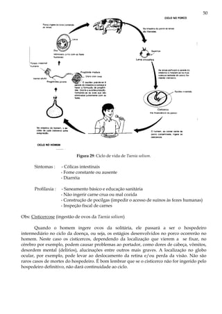 50




                            Figura 29: Ciclo de vida de Taenia solium.

      Sintomas :     - Cólicas intestinais
                     - Fome constante ou ausente
                     - Diarréia

      Profilaxia :   - Saneamento básico e educação sanitária
                     - Não ingerir carne crua ou mal cozida
                     - Construção de pocilgas (impedir o acesso de suínos às fezes humanas)
                     - Inspeção fiscal de carnes

Obs: Cisticercose (ingestão de ovos da Taenia solium)

       Quando o homem ingere ovos da solitária, ele passará a ser o hospedeiro
intermediário no ciclo da doença, ou seja, os estágios desenvolvidos no porco ocorrerão no
homem. Neste caso os cisticercos, dependendo da localização que vierem a se fixar, no
cérebro por exemplo, podem causar problemas ao portador, como dores de cabeça, vômitos,
desordem mental (delírios), alucinações entre outros mais graves. A localização no globo
ocular, por exemplo, pode levar ao deslocamento da retina e/ou perda da visão. Não são
raros casos de mortes do hospedeiro. É bom lembrar que se o cisticerco não for ingerido pelo
hospedeiro definitivo, não dará continuidade ao ciclo.
 