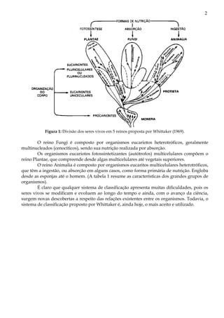 2




           Figura 1: Divisão dos seres vivos em 5 reinos proposta por Whittaker (1969).

        O reino Fungi é composto por organismos eucariotos heterotróficos, geralmente
multinucleados (cenocíticos), sendo sua nutrição realizada por absorção.
        Os organismos eucariotos fotossintetizantes (autótrofos) multicelulares compõem o
reino Plantae, que compreende desde algas multicelulares até vegetais superiores.
        O reino Animalia é composto por organismos eucaritos multicelulares heterotróficos,
que têm a ingestão, ou absorção em alguns casos, como forma primária de nutrição. Engloba
desde as esponjas até o homem. (A tabela 1 resume as características dos grandes grupos de
organismos).
        É claro que qualquer sistema de classificação apresenta muitas dificuldades, pois os
seres vivos se modificam e evoluem ao longo do tempo e ainda, com o avanço da ciência,
surgem novas descobertas a respeito das relações existentes entre os organismos. Todavia, o
sistema de classificação proposto por Whittaker é, ainda hoje, o mais aceito e utilizado.
 