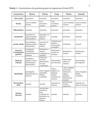 3
Tabela 1 - Características dos grandes grupos de organismos (Curtis,1977)

    Característica       Monera             Protista          Fungi            Plantae            Animalia

     Tipo celular    procarioto          eucarioto        eucarioto        eucarioto           Eucarioto
                                         com              com
                     sem envoltório                                        com envoltório com envoltório
       Núcleo                            envoltório       envoltório
                     nuclear                                               nuclear        nuclear
                                         nuclear          nuclear

    Mitocôndrias     ausentes            presentes        presentes        presentes           presentes

                     ausentes, há        presentes em
     cloroplastos    apenas lamelas      algumas          ausentes         presentes           ausentes
                     fotossintéticas     formas
                                                          composta por
                     não celulósica      presente em
                                                          quitina e
    parede celular   (polissacarídeo +   algumas                           Celulósica          ausente
                                                          outros polis-
                     aminoácido)         formas
                                                          sacarídeos
                     conjugação;         fertilização e
       meios de                                           fertilização e
                     transdução;         meiose,                           fertilização e      fertilização e
    recombinação                                          meiose ou
                     transformação ou    conjugação ou                     meiose              meiose
       genética                                           nenhum
                     nenhum              nenhum
                                         fotossinte-
                     autotrófica
                                         tizante e                         fotossinteti-
      Modo de        (quimio e fotos-                     heterotrófica                        heterotrófica,
                                         heterotrófica                     zante, na
      nutrição       sintetizante) e                      por absorção                         por ingestão
                                         ou uma                            maioria
                     heterotrófica
                                         combinação
                                                                           cílios e flagelos
                                                           cílios e
                                                                           em formas
                                         cílios; flagelos; flagelos em
                     por flagelos,                                         inferiores e        cílios e flagelos,
                                         amebóide;         algumas
     Motilidade      deslizamento ou                                       alguns              fibrilas
                                         fibrilas          formas,
                     imóveis                                               gametas,            contráteis
                                         contráteis        nenhuma na
                                                                           nenhuma na
                                                           maioria
                                                                           maioria
                                                                           presente nas
    Pluricelulari-                                        presente, na                         presente em
                     ausente             ausente                           formas
        dade                                              maioria                              todas as formas
                                                                           superiores
                                         mecanismos
                                         primitivos
                                         para
      Sistema
                     ausente             condução de      ausente          ausente             presente
      Nervoso
                                         estímulos em
                                         algumas
                                         formas
 
