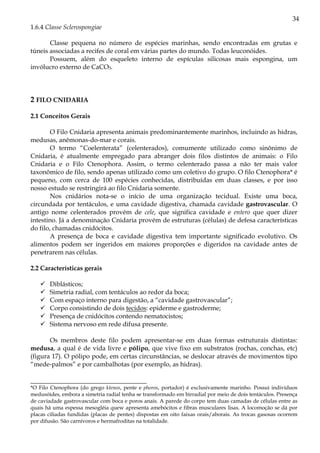 34
1.6.4 Classe Sclerospongiae
Classe pequena no número de espécies marinhas, sendo encontradas em grutas e
túneis associadas a recifes de coral em várias partes do mundo. Todas leuconóides.
Possuem, além do esqueleto interno de espículas silicosas mais espongina, um
invólucro externo de CaCO3.
2 FILO CNIDARIA
2.1 Conceitos Gerais
O Filo Cnidaria apresenta animais predominantemente marinhos, incluindo as hidras,
medusas, anêmonas-do-mar e corais.
O termo “Coelenterata” (celenterados), comumente utilizado como sinônimo de
Cnidaria, é atualmente empregado para abranger dois filos distintos de animais: o Filo
Cnidaria e o Filo Ctenophora. Assim, o termo celenterado passa a não ter mais valor
taxonômico de filo, sendo apenas utilizado como um coletivo do grupo. O filo Ctenophora* é
pequeno, com cerca de 100 espécies conhecidas, distribuídas em duas classes, e por isso
nosso estudo se restringirá ao filo Cnidaria somente.
Nos cnidários nota-se o início de uma organização tecidual. Existe uma boca,
circundada por tentáculos, e uma cavidade digestiva, chamada cavidade gastrovascular. O
antigo nome celenterados provém de cele, que significa cavidade e entero que quer dizer
intestino. Já a denominação Cnidaria provém de estruturas (células) de defesa características
do filo, chamadas cnidócitos.
A presença de boca e cavidade digestiva tem importante significado evolutivo. Os
alimentos podem ser ingeridos em maiores proporções e digeridos na cavidade antes de
penetrarem nas células.
2.2 Características gerais
Diblásticos;
Simetria radial, com tentáculos ao redor da boca;
Com espaço interno para digestão, a “cavidade gastrovascular”;
Corpo consistindo de dois tecidos: epiderme e gastroderme;
Presença de cnidócitos contendo nematocistos;
Sistema nervoso em rede difusa presente.
Os membros deste filo podem apresentar-se em duas formas estruturais distintas:
medusa, a qual é de vida livre e pólipo, que vive fixo em substratos (rochas, conchas, etc)
(figura 17). O pólipo pode, em certas circunstâncias, se deslocar através de movimentos tipo
“mede-palmos” e por cambalhotas (por exemplo, as hidras).
*O Filo Ctenophora (do grego ktenos, pente e phoros, portador) é exclusivamente marinho. Possui indivíduos
medusóides, embora a simetria radial tenha se transformado em birradial por meio de dois tentáculos. Presença
de caviadade gastrovascular com boca e poros anais. A parede do corpo tem duas camadas de células entre as
quais há uma espessa mesogléia quew apresenta amebócitos e fibras musculares lisas. A locomoção se dá por
placas ciliadas fundidas (placas de pentes) dispostas em oito faixas orais/aborais. As trocas gasosas ocorrem
por difusão. São carnívoros e hermafroditas na totalidade.
 